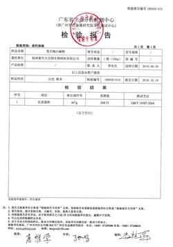 新竹-籠芯陶白碳粉-比表面積-廣東省工業分析檢測中心（中文）.jpg