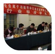 2006年3月10日，“產(chǎn)生負(fù)離子功能粉體及相關(guān)建材制品測試方法”行業(yè)標(biāo)準(zhǔn)審查會在北京召開。